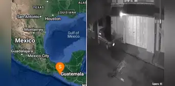 Sismo de magnitud 6.5 se registró en México: así se vivió el temblor que ya tuvo 40 réplicas Sismo de magnitud 6.5 se registró en México: así se vivió el temblor que ya tuvo 40 réplicas