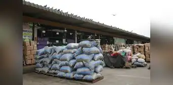 Gran Mercado Mayorista: más de 3.000 toneladas de alimentos no se comercializaron por protesta Gran Mercado Mayorista: más de 3.000 toneladas de alimentos no se comercializaron por protesta
