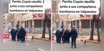 Perrito marcha junto a bomberos de Chile y causa sensación en TikTok: "Y no perdió el paso" Perrito marcha junto a bomberos de Chile y causa sensación en TikTok: "Y no perdió el paso"