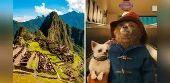 ¡Al estilo "Transformers"!: película "Paddington 3" se grabó en Machu Picchu ¡Al estilo "Transformers"!: película "Paddington 3" se grabó en Machu Picchu