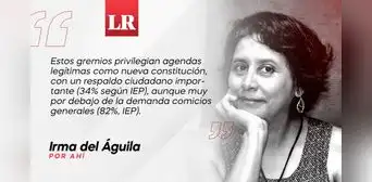 19J: Elecciones generales ya, por Irma del Águila 19J: Elecciones generales ya, por Irma del Águila