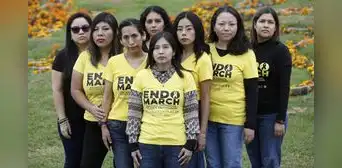 Endometriosis, dolor silenciado Endometriosis, dolor silenciado