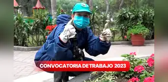 ¿Con secundaria completa? Postula a 24 empleos en la Municipalidad de Lince con sueldos de S/1.800 ¿Con secundaria completa? Postula a 24 empleos en la Municipalidad de Lince con sueldos de S/1.800