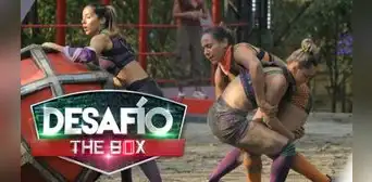 [Caracol TV] Ver "Desafío The Box" EN VIVO hoy, 17 de julio: capítulo 77