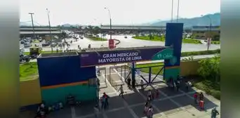 ¿Cómo llegar al Gran Mercado Mayorista de Lima ubicado en Santa Anita?: Mapa y dirección exacta