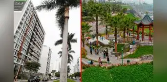 ¿Cuál es la zona restringida para protestas y manifestaciones en Miraflores? ¿Cuál es la zona restringida para protestas y manifestaciones en Miraflores?
