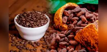 Exportaciones de productos orgánicos de origen peruano superaron los US$628 millones en el 2022