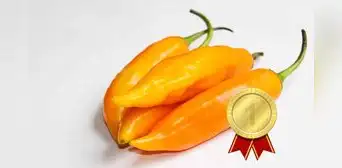 El ají amarillo es considerado el mejor vegetal del mundo, según ranking de Taste Atlas