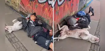 Perrito se queda dormido junto con su dueño en plena calle: “Eso es ser amigos”