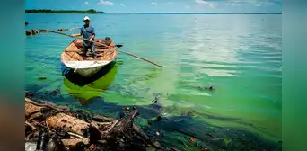 Lago de Maracaibo contaminado: ¿por qué está cada vez más verde y qué daños causa? Lago de Maracaibo contaminado: ¿por qué está cada vez más verde y qué daños causa?