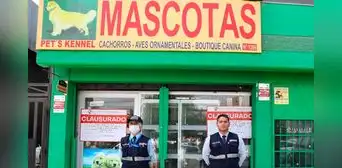 Surco: clausuran veterinaria que vendía perritos en pésimas condiciones de salud