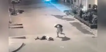 Joven madre se resiste a robo y la asesinan de un balazo en SJL Joven madre se resiste a robo y la asesinan de un balazo en SJL