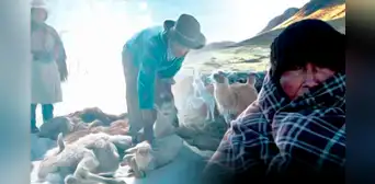 Declaran en emergencia a Puno por bajas temperaturas: ¿qué zonas están en muy alto riesgo?