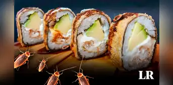 Clausuran local de makis infestado de cucarachas en Pueblo Libre Clausuran local de makis infestado de cucarachas en Pueblo Libre
