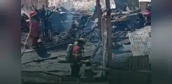 Ayacucho: decenas de animales murieron calcinados en un incendio que destruyó a 2 viviendas