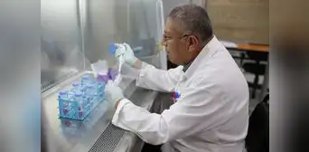 El veneno de serpiente puede frenar el cáncer de mama y leucemia El veneno de serpiente puede frenar el cáncer de mama y leucemia