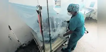 Áncash: casos de dengue se incrementaron a más de 2.000 Áncash: casos de dengue se incrementaron a más de 2.000