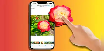¿Quieres quitar el fondo de una foto? Este es el sencillo método para hacerlo desde tu iPhone ¿Quieres quitar el fondo de una foto? Este es el sencillo método para hacerlo desde tu iPhone