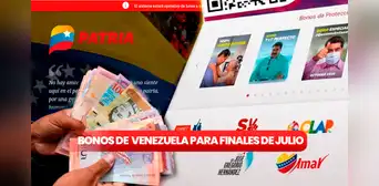 Bonos de la Patria: revisa los 5 subsidios que se entregarán del 25 al 30 de julio