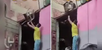 Perrito ayuda a movilizar las sillas desde el segundo piso de una casa: “Chamba es chamba”