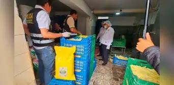 SMP: hallan nido de ratas en local que abastecía papas a pollerías del distrito SMP: hallan nido de ratas en local que abastecía papas a pollerías del distrito