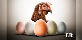 ¿Por qué los huevos de gallina tienen diferentes colores?