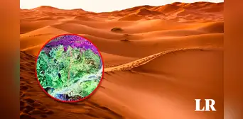 ¿Qué hay debajo de la arena del desierto? Esto es lo que encontrarías si logras cavar hasta el final ¿Qué hay debajo de la arena del desierto? Esto es lo que encontrarías si logras cavar hasta el final