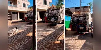 Perrito ‘trabaja’ como recolector de basura y usuarios reaccionan: “Ahora Firulais paga sus croquetas”
