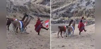 Peruano se hace viral tras ser captado desfilando en los andes junto a sus llamas en Cusco: “Qué lindo” Peruano se hace viral tras ser captado desfilando en los andes junto a sus llamas en Cusco: “Qué lindo”