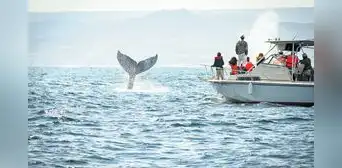 Promperú: millón y medio de peruanos viajarán por Fiestas Patrias Promperú: millón y medio de peruanos viajarán por Fiestas Patrias