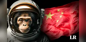 China planea enviar monos al espacio para que tengan sexo entre ellos China planea enviar monos al espacio para que tengan sexo entre ellos