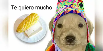 Choclo con queso dentro de los mejores platos del mundo a base del lácteo, según Taste Atlas