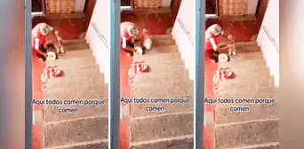 Adulta mayor conmueve las redes al darle de tomar sopa con una cuchara a su perrito Adulta mayor conmueve las redes al darle de tomar sopa con una cuchara a su perrito