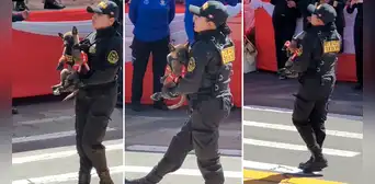 Perrito policía participa por primera vez en Desfile Militar y enternece en redes: “Hermoso con sus zapatitos” Perrito policía participa por primera vez en Desfile Militar y enternece en redes: “Hermoso con sus zapatitos”