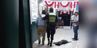 Capturan a primer regidor de Tumbes por conducir vehículo en aparente estado de ebriedad Capturan a primer regidor de Tumbes por conducir vehículo en aparente estado de ebriedad