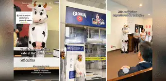 Empresa de leche invita a sus instalaciones a universitarios que expusieron disfrazados de vaca