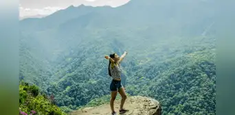 ¿Qué significa 'carpe diem' y en qué idioma está la frase?