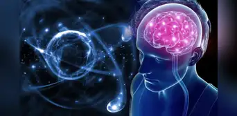 5 hábitos para cuidar y mantener la salud cerebral, según la ciencia 5 hábitos para cuidar y mantener la salud cerebral, según la ciencia