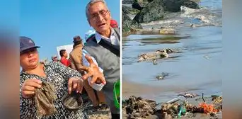 Defensoría pide a OEFA informar con urgencia sobre presencia de petróleo en playas en Ventanilla Defensoría pide a OEFA informar con urgencia sobre presencia de petróleo en playas en Ventanilla