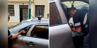 Pueblo Libre: sereno rompe ventana de carro y rescata a perrito abandonado en el interior