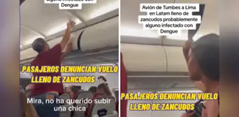 Denuncian que avión de LATAM viajaba de Tumbes a Lima infestado de zancudos Denuncian que avión de LATAM viajaba de Tumbes a Lima infestado de zancudos