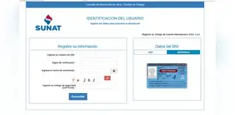 Sunat: ¿cómo saber dónde trabaja una persona en Perú con su DNI?