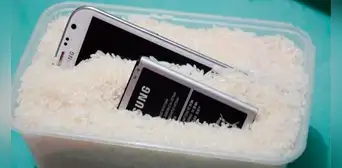¿Por qué no es una buena idea meter tu teléfono mojado en arroz para repararlo? Esto puede pasarle ¿Por qué no es una buena idea meter tu teléfono mojado en arroz para repararlo? Esto puede pasarle