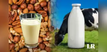 ¿Es la leche vegetal una sustitución nutricional a la de vaca? Descubre lo que dice la ciencia ¿Es la leche vegetal una sustitución nutricional a la de vaca? Descubre lo que dice la ciencia