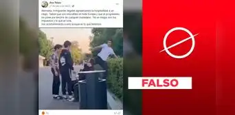 Video viral no presenta a "inmigrantes ilegales" pateando a un invidente en Alemania