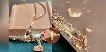 Periodista peruano compra chocolate y queda en shock al encontrar gusanos: “Me voy a morir” Periodista peruano compra chocolate y queda en shock al encontrar gusanos: “Me voy a morir”