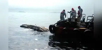 Derrame de petróleo: 2 playas más presentarían rastros de hidrocarburo, afirma Fiscalía Derrame de petróleo: 2 playas más presentarían rastros de hidrocarburo, afirma Fiscalía