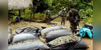 Narcotráfico en Perú: proyecto internacional revela las redes criminales que operan en la Amazonía Narcotráfico en Perú: proyecto internacional revela las redes criminales que operan en la Amazonía