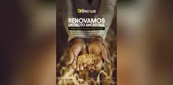 Backus desarrolla la primera cebada cervecera del país