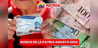 Bonos de la Patria: mira los 4 subsidios que llegarán la segunda semana de agosto
